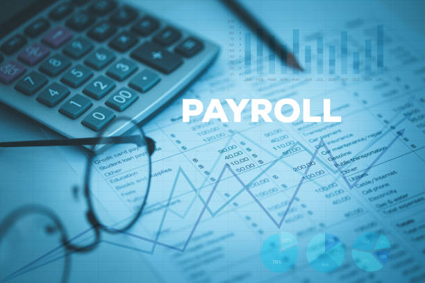 Payroll professional reviewing employee compensation
