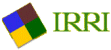 IRRI logo